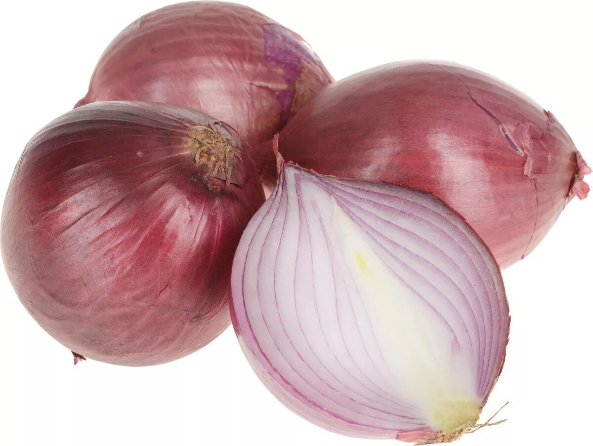 Репчатый лук красный белый. Лук репчатый красный 88 f1. Репчатый лук красный белый. Лук репчатый красный. Лук шалот красный.