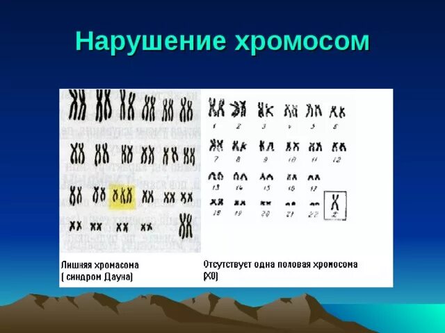 2 хромосома нарушения. Нарушение хромосом. Хромосомные нарушения. Нарушение хромосомного набора. Нарушение расхождения хромосом.