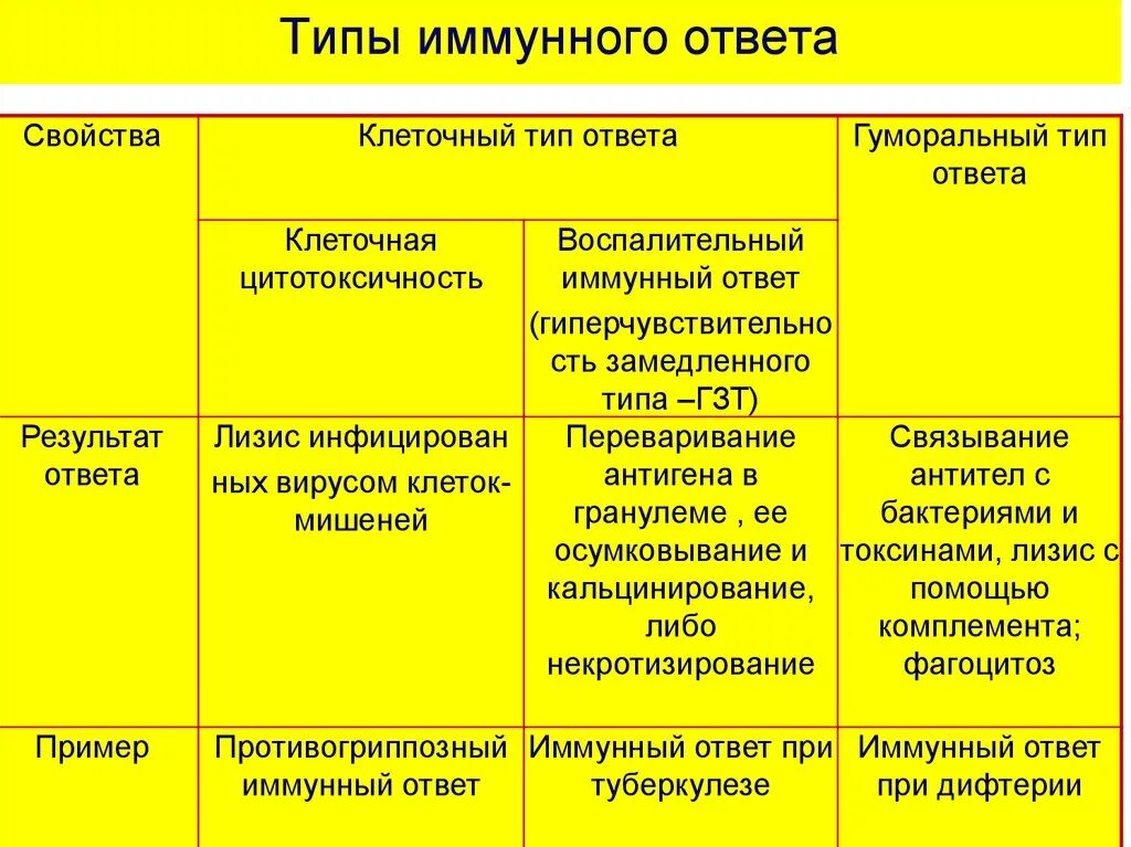 Наличие иммунного ответа. Гуморальные и клеточные формы иммунного ответа. Перечислите и охарактеризуйте основные виды иммунного ответа.. Характеристика клеточного и гуморального иммунного ответа. Основные стадии иммунного ответа.