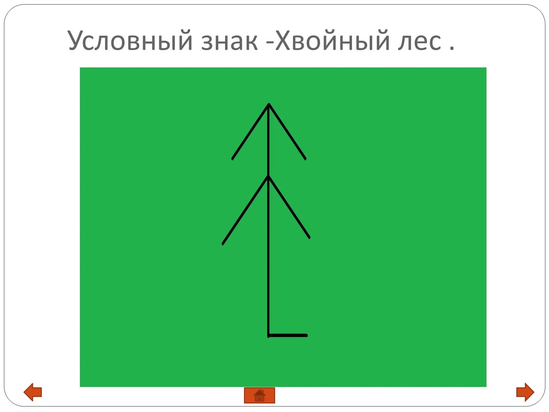 Условные знаки деревьев. Условный знак хвойного леса. Условное обозначение елового леса. Еловый лес условный значок. Топографический знак хвойный лес.