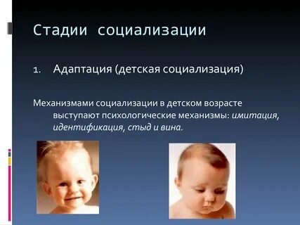 Ранняя социализация в развитии ребенка