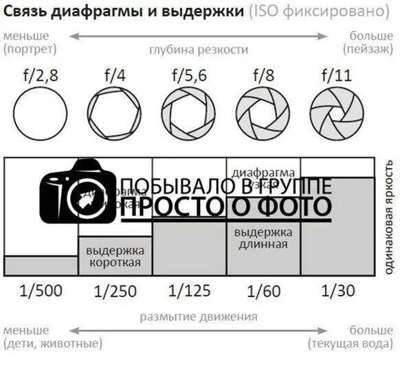 Какую нужно выставлять