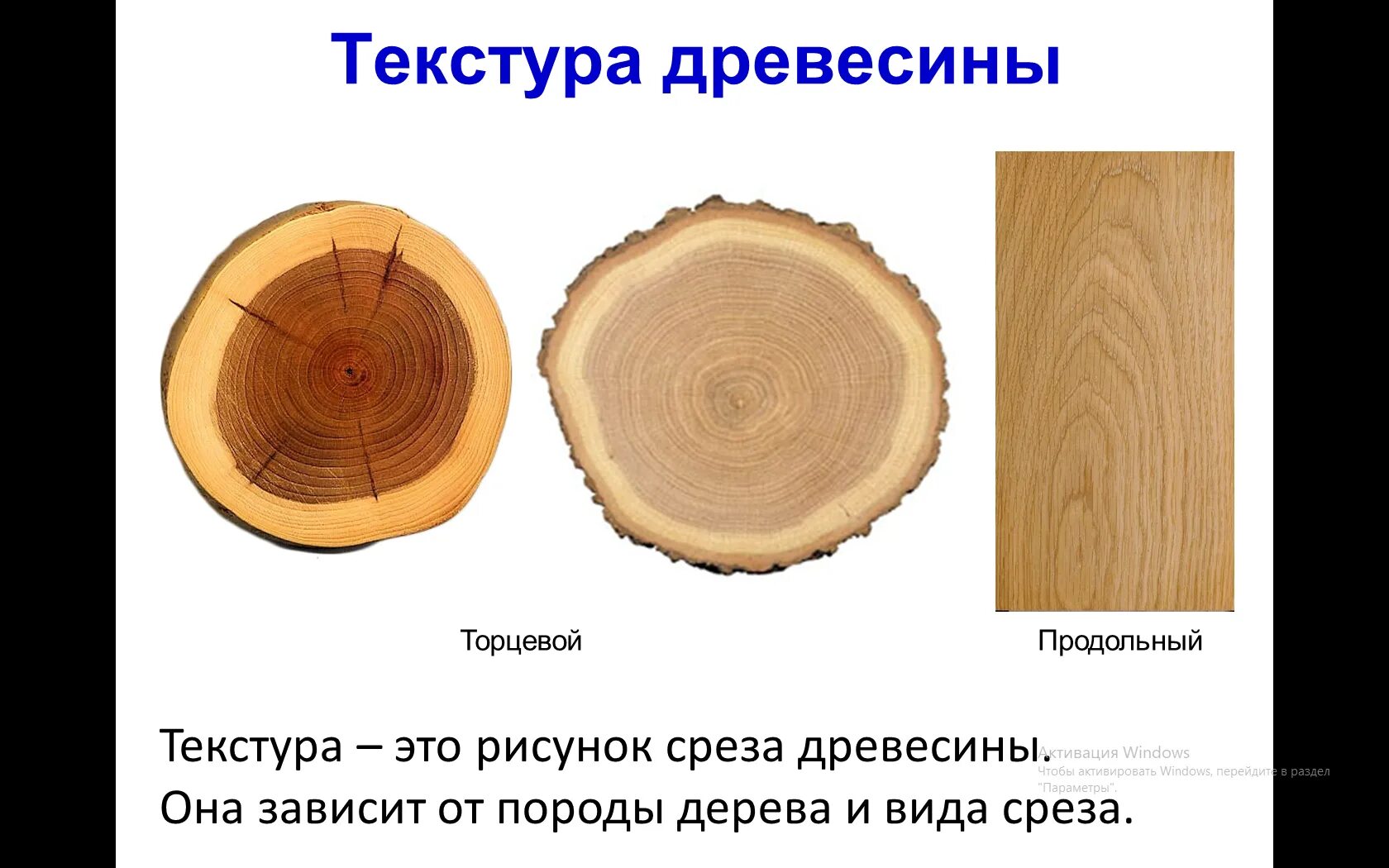 Срез кратко. Древесина и древесные материалы. Срезы пород древесины. Строение среза древесины. Древесина пиломатериалы и древесные материалы.