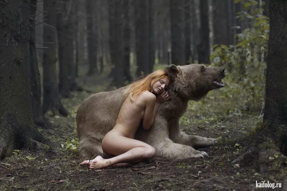 Секс Девушки И Настоящего Медведя