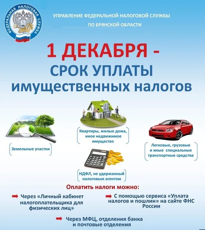 Срок уплаты налогов по уведомлениям. Имущественные налоги. по уплате имущественных налогов. сроки уплаты налогов. о сроке уплаты имущественных налогов физическими лицами.