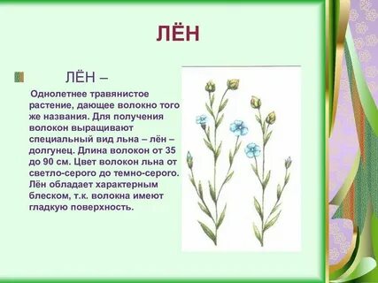Какие виды льна выращивают