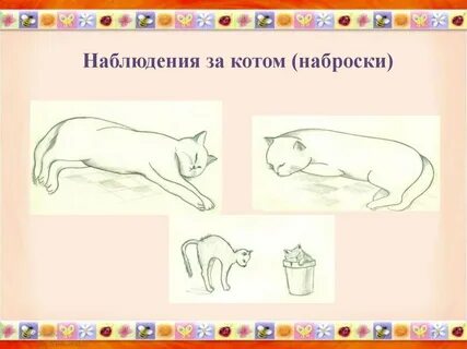 Нарисовать домашнего питомца 2 класс окружающий мир