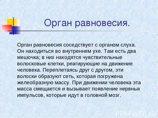 Значение органа равновесия. Орган равновесия. Орган восприятия равновесия. Значение органа равновесия 8 класс.