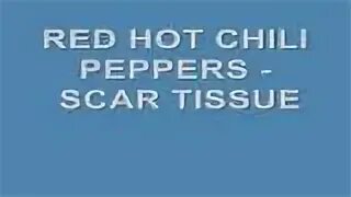 Red hot chili peppers scar