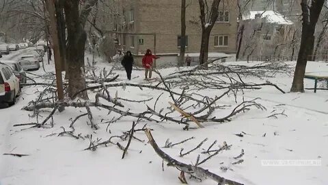 Разглядеть обездоленный разгребать