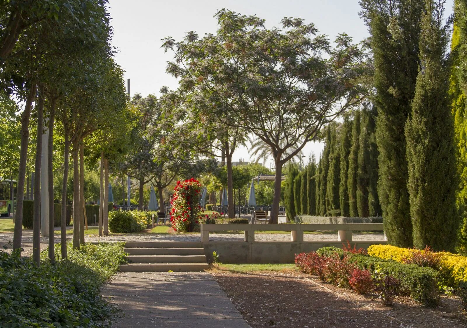Аллея Испания. Аллеи дизайнерские. Кипре, рядом Университетский парк. Прогулочная аллея с местами для отдыха.