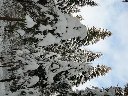 На склоне зимы