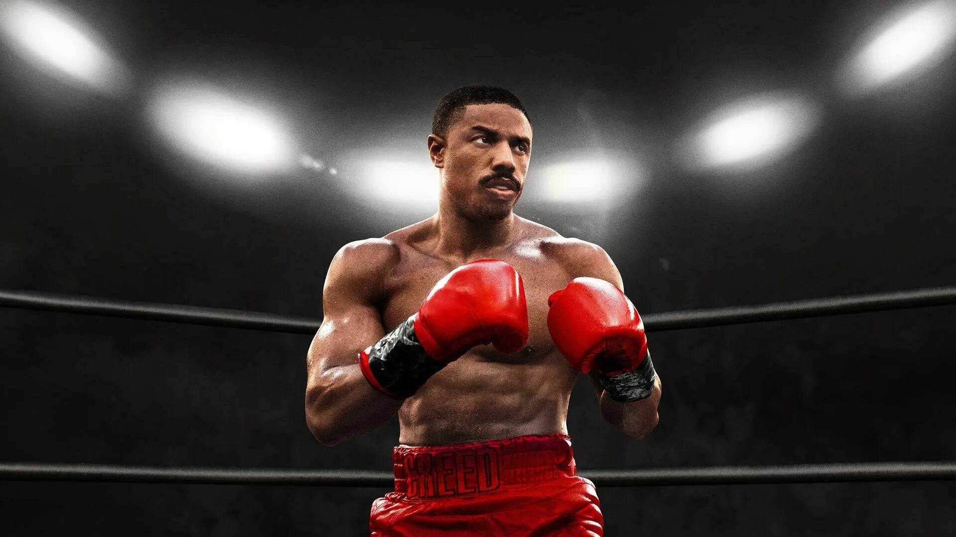 Creed Rise to Glory. Creed VR. Creed Rise to Glory VR. Creed Boxing. Rise to glory vr