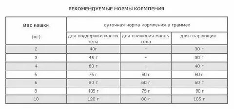 Сколько раз должен писать взрослый кот