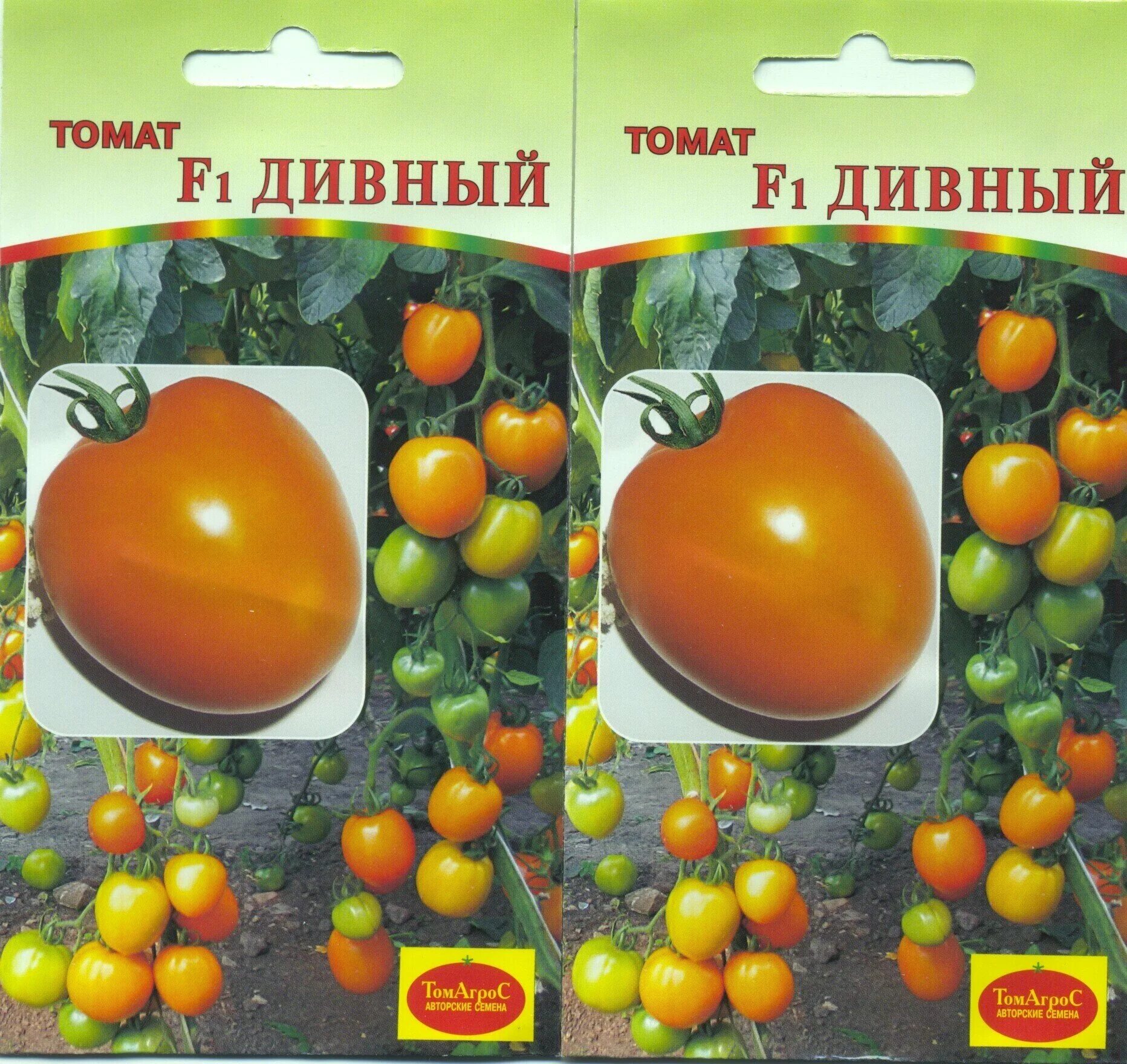 сенсей томат аэлита. сорт томатами диво дивное. сорт томатами диво дивное. помидор диво дивное фото. томат диво дивное характеристика отзывы.