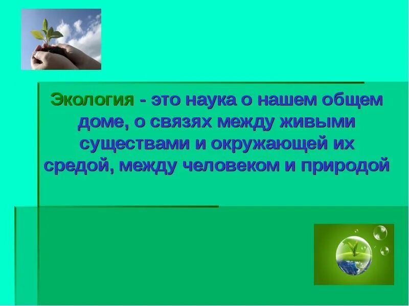 Наука экология помогает 3 класс. Экология. Экология это наука. Связи между живыми существами и окружающей их средой. Экология наука о связях между.