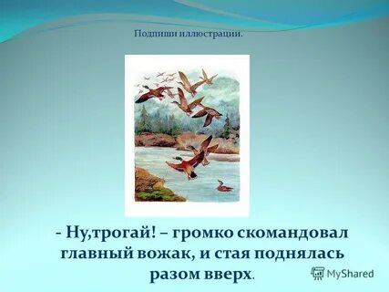 Ну трогай громко скомандовал