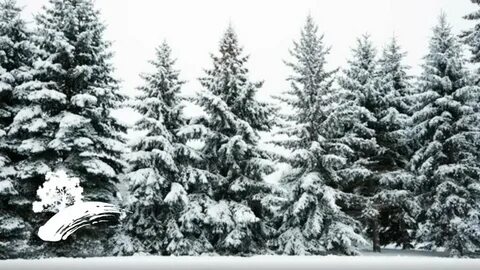 Елей в пост
