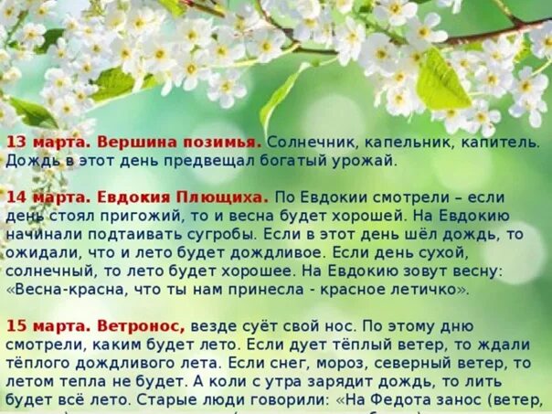 В следующем году буду летом. Приметы на Евдокию. День Евдокии приметы.