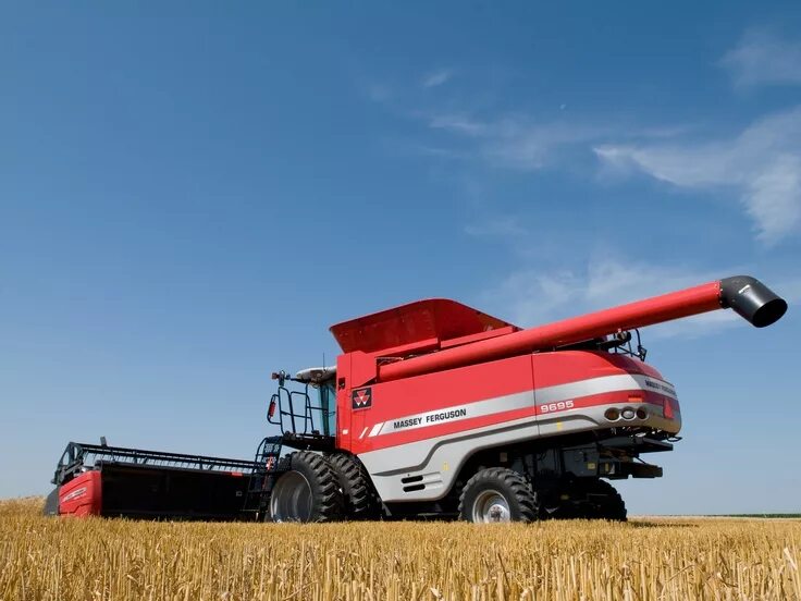 Комбайн массей фергюсон. Комбайн зерновой massey ferguson mf 186. Комбайн массей фергюсон бета. Massey ferguson комбайн зерновой. Комбайн массей фергюсон бета.