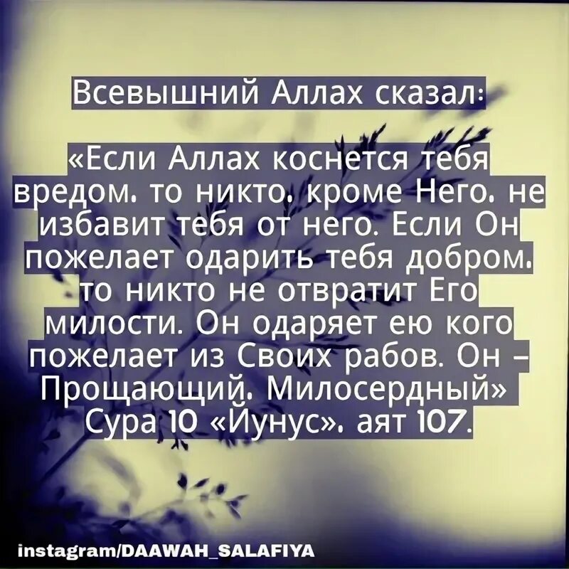 Аяты про любовь. Всевышний Аллах. Всевышний Аллах говорит. Всевышний Аллах Всемогущий. Всевышний Аллах говорит в Коране.