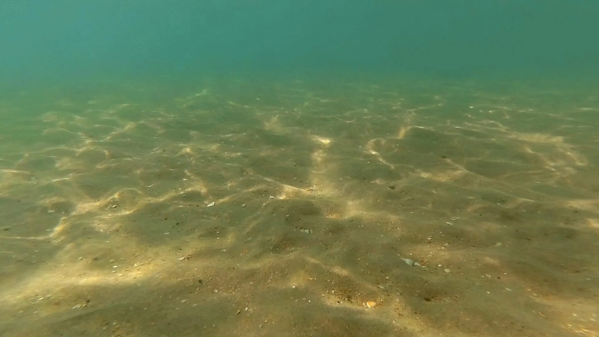 Какая сейчас вода в черном море