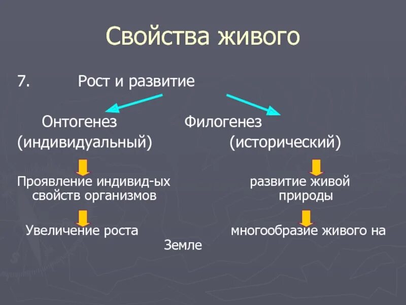 На каких стадиях развития онтогенеза и филогенеза. Развитие свойство живого. Свойства живого рост и развитие. Развитие свойство живых организмов. Рост свойство живого.