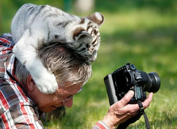 Натуралист работа. Вилдлайф фотографер. День фотографа. Съемка животных. С днём фотографа открытки.