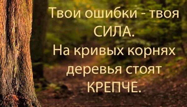 В крепком доме и жизнь крепкая. На кривых корнях деревья крепче. На кривых корнях деревья. Твои ошибки твоя сила. Твои ошибки твоя сила на кривых корнях деревья.