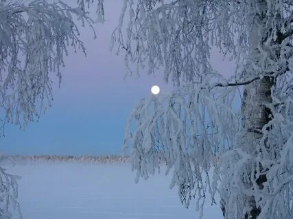 Снежная равнина белая луна