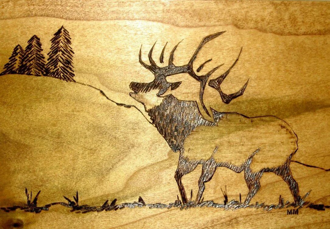 Картины для выжигания на фанере. Выжигание по дереву природа. Выжигание по дереву для начинающих. Кружок выжигания по дереву. Выжигание по дереву.