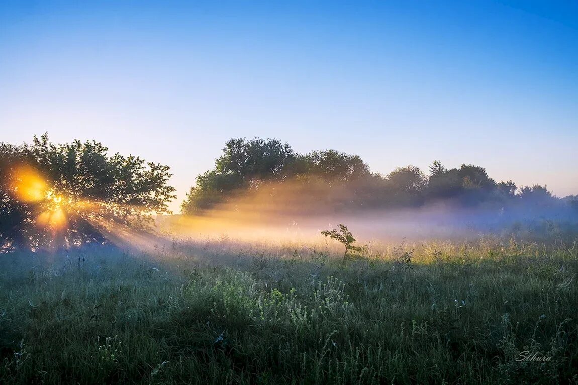 Утренний рассвет. Утреннее солнце. Природа рассвет. Утро восход. Рассвет летом.