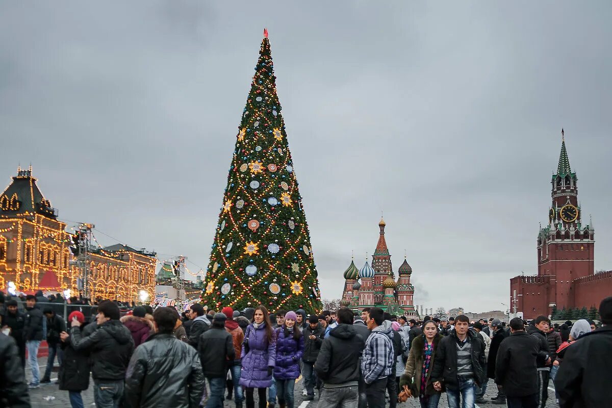 Елка на красной площади. Новогодняя елка на площади. Елка в Москве. Елна на красной площади. Новогодняя елка площадь