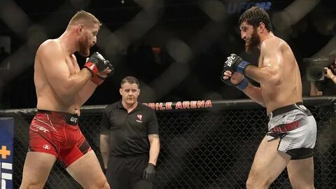 Бой анкалаев прямой эфир ufc
