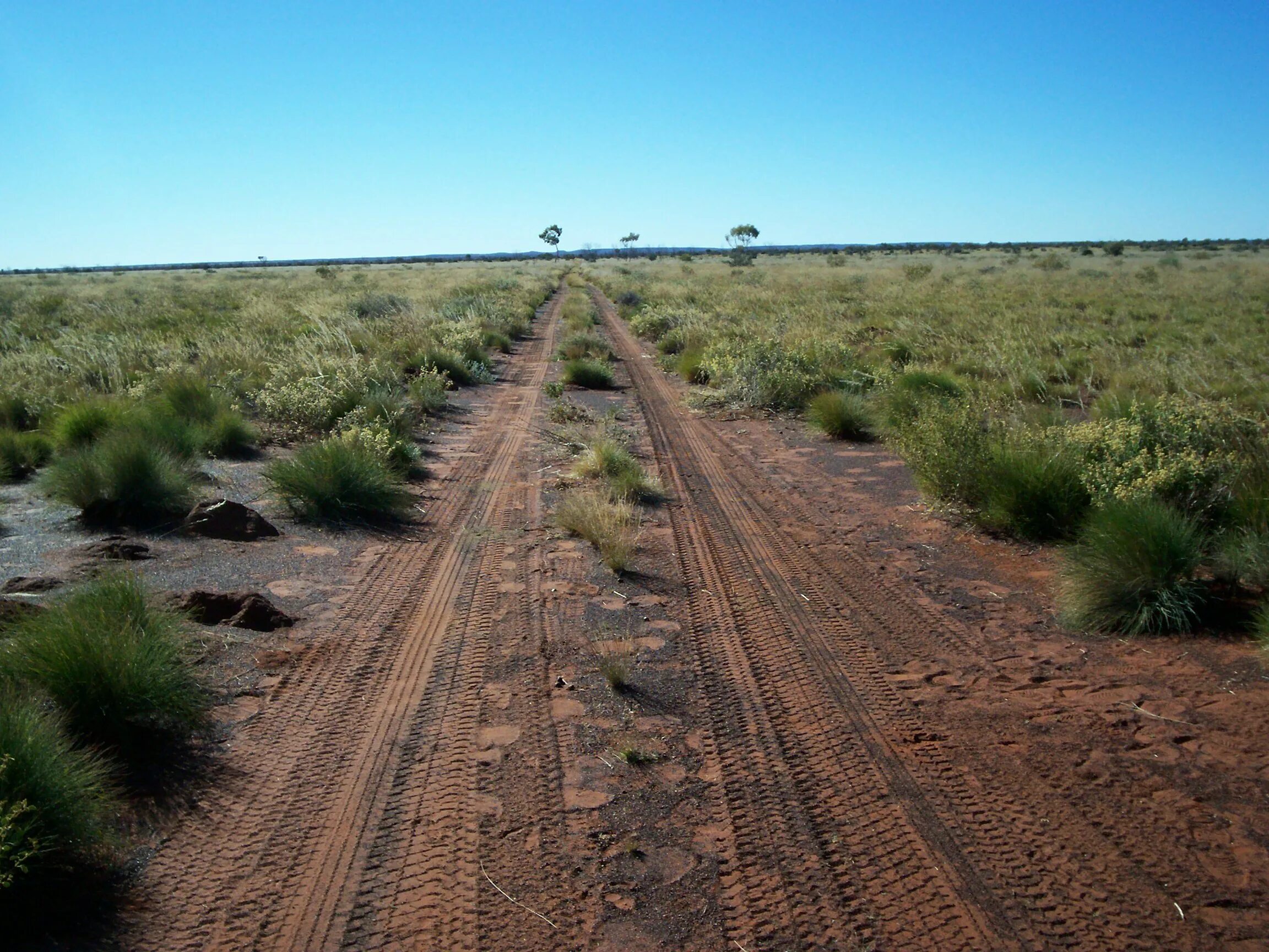 Пустыня Гибсона Западная Австралия. Пустыня Гибсона населения. Дорога в Гари. Великая австралийская стена. Пустыня гибсона австралия