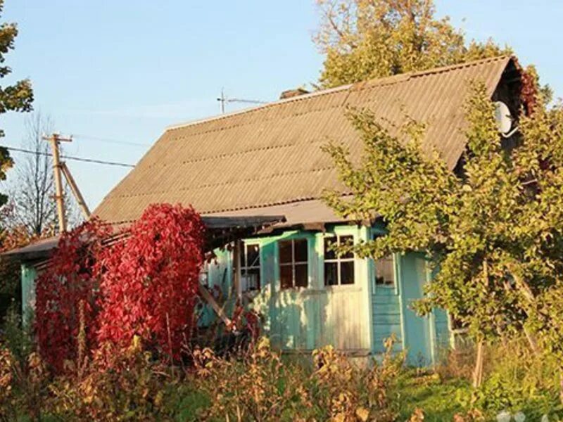 Горбуново нижний тагил. Сад горбуново нижний тагил. Горбуново нижний тагил. Снт гефест горбуново пермь. Горбуново нижний тагил волосатик.