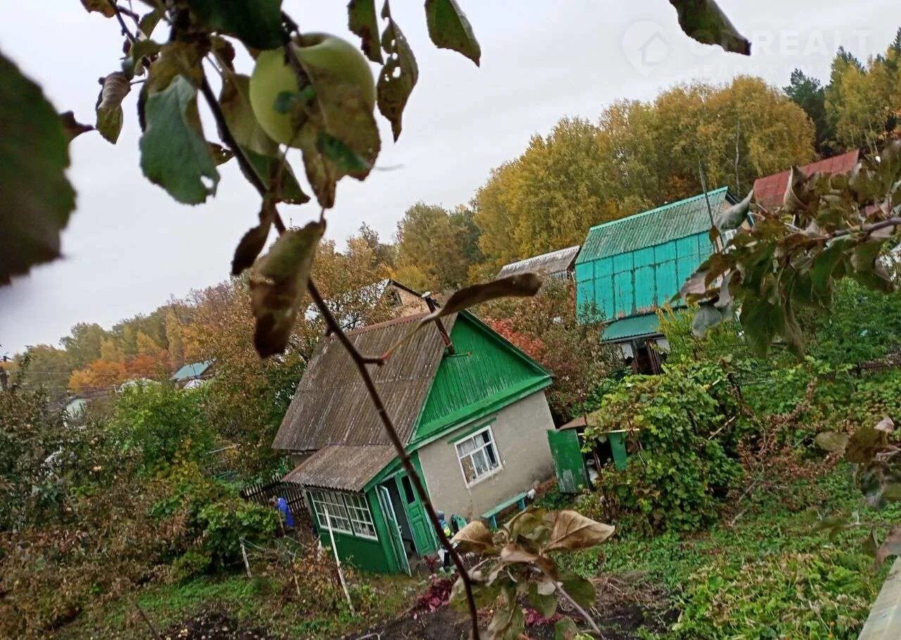 Родничок пенза. Райский уголок садовое товарищество Родничок. СНТ Родничок Пенза. СНТ Родничок ул Абрикосовая 180 Городищенский район. Дачи в Родничке Пензенская область в районе Засечного.