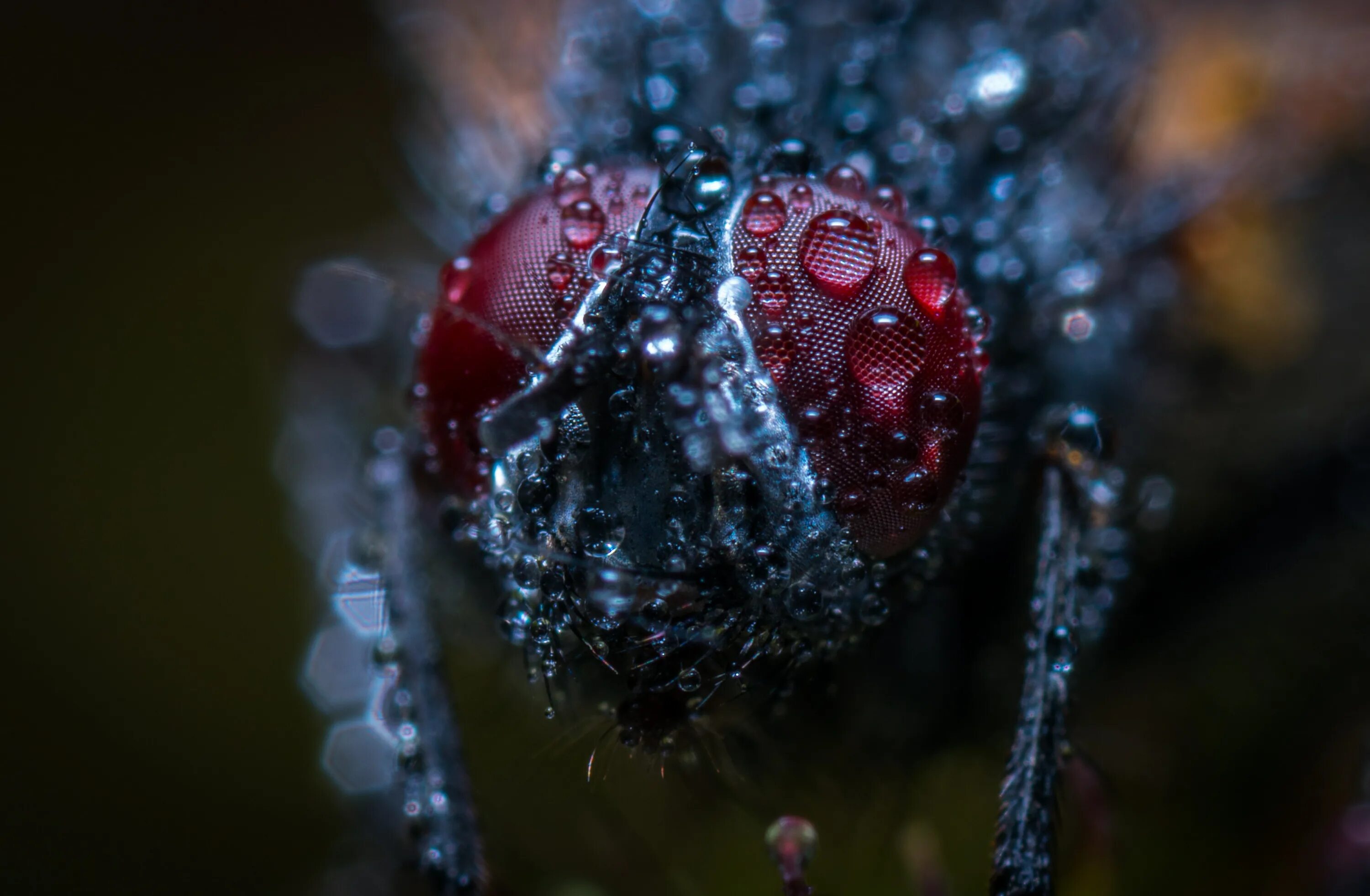 New macro
