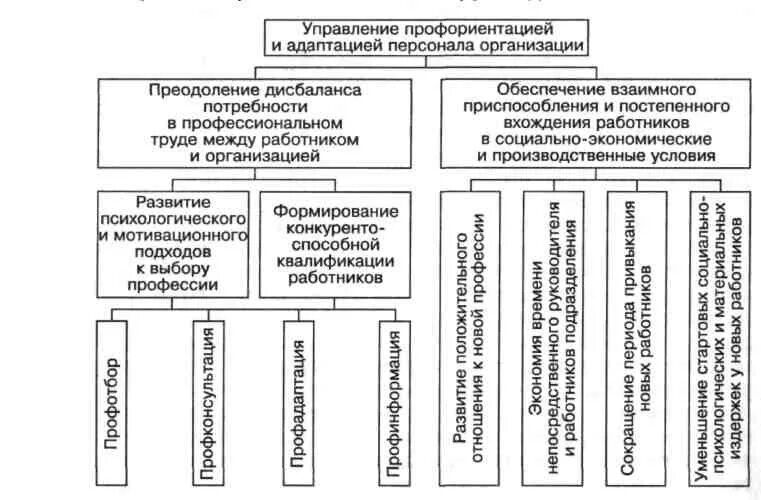 Сущность адаптации персонала в организации. Типы адаптации персонала. Классификация адаптации персонала в организации. Профессиональная адаптация схема.