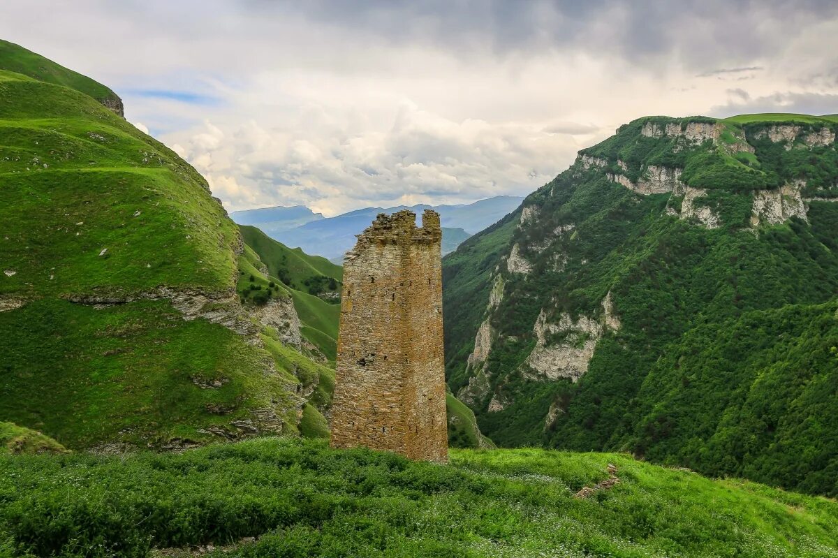 Башни горы в Чеченской Республике. Природа Чеченской Республики. Чечня Грозный горы. Никарой (башенный комплекс).