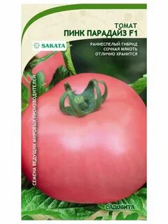 Сорт томатов пинк парадайз отзывы