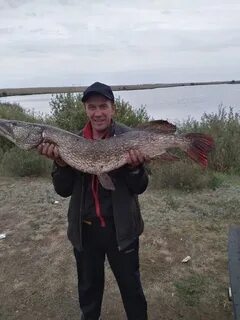 Общество рыболовов челябинской