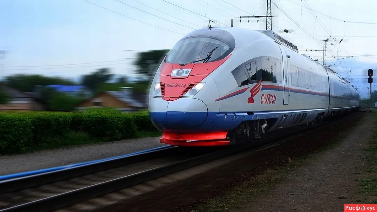 Скоростной поезд - siemens velaro rus ("сапсан"). Железная дорога ржд. Сапсан поезд. Сапсан на рельсах. Сапсан в сочи.