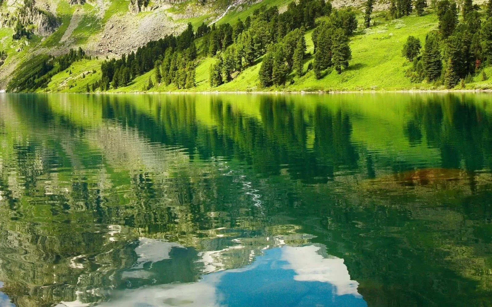 Красота воды. Озеро с прозрачной водой. Чистое озеро. Вода России. Видеть чистое озеро