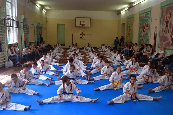 Экзамен по каратэ киокушинкай 8 кю каратэ. Кихон на 8 кю. Стойки в каратэ сётокан. Техника на 8 кю киокушинкай. Доджо москва каратэ.