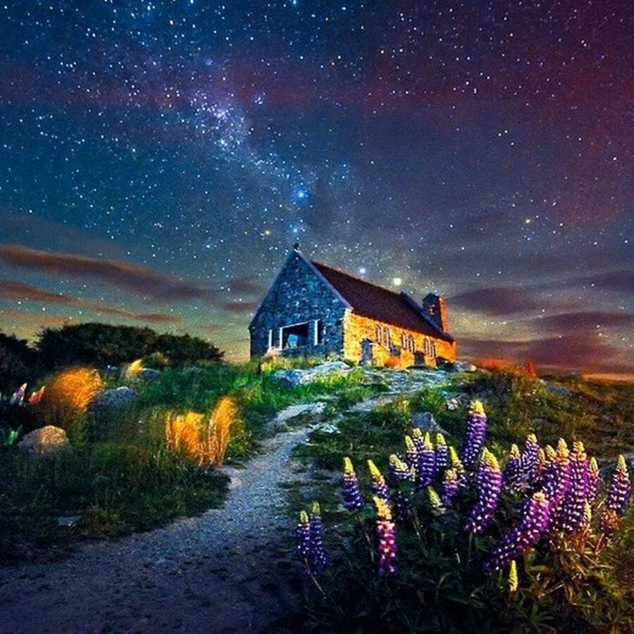 Where your night. Where your night