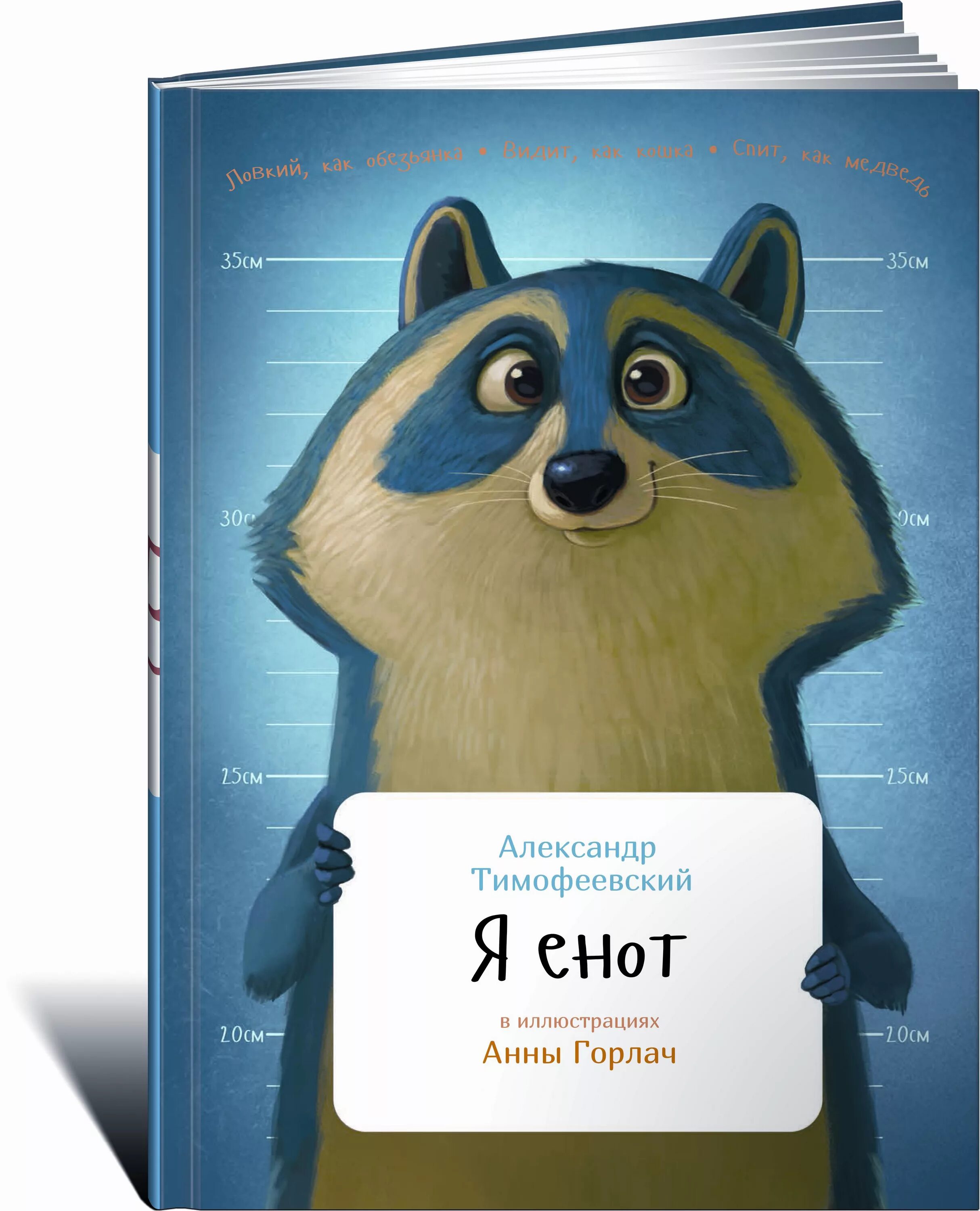 Енот кредит отзывы. Enot платежная система. Енотик с книжкой. Enot оплата. Moneyveo.