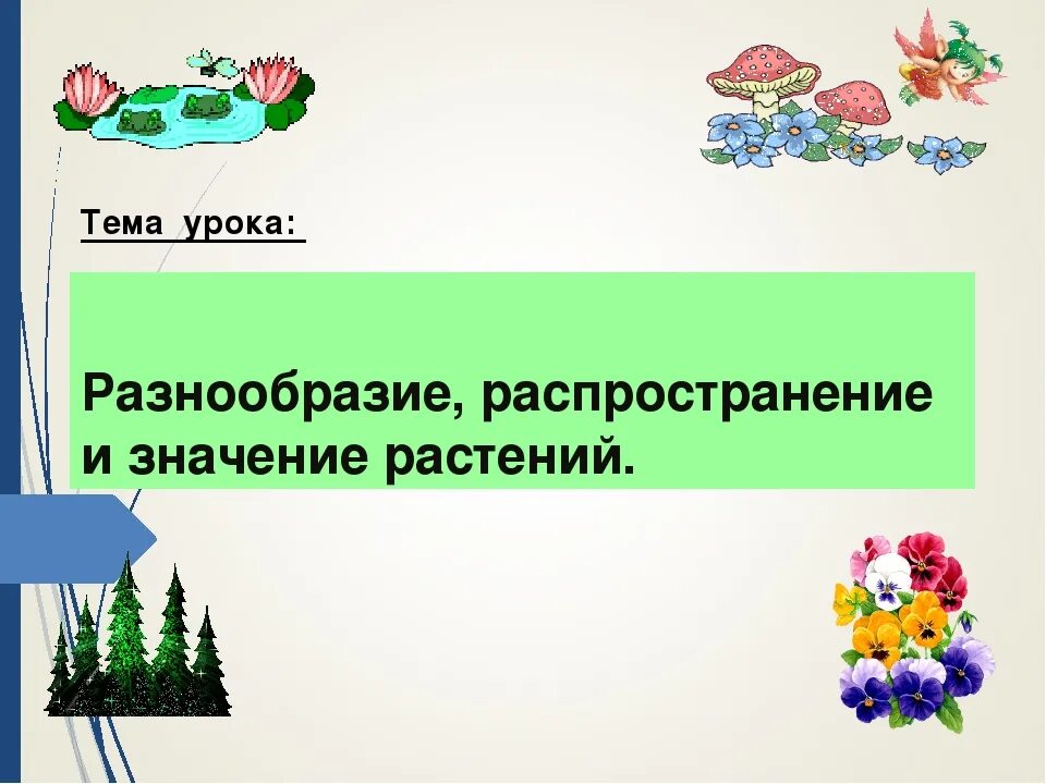 Многообразие и значение растений видеоурок. Разнообразие и распространение растений. разнообразие распространение значение растений. разнообразие распространение значение растений 5 класс биология. доклад на тему разнообразие распространение значение растений.
