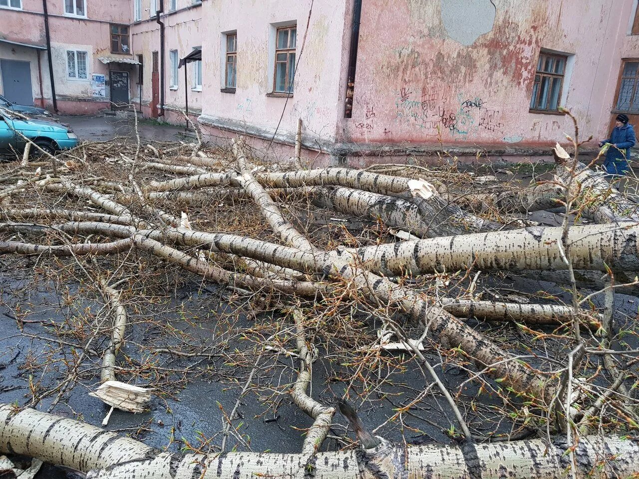 Событие ураган. Ураган в Томске вчера. Ураган ЧС. Ураган в Сургуте. Урал ураган.