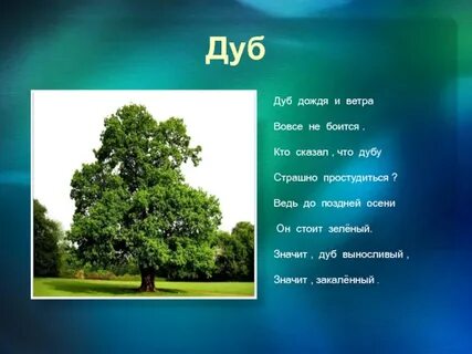 Древесина составить слова